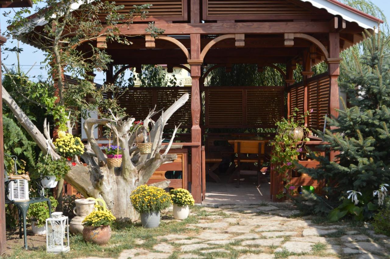 Cabane De Lemn Costineşti Exteriér fotografie