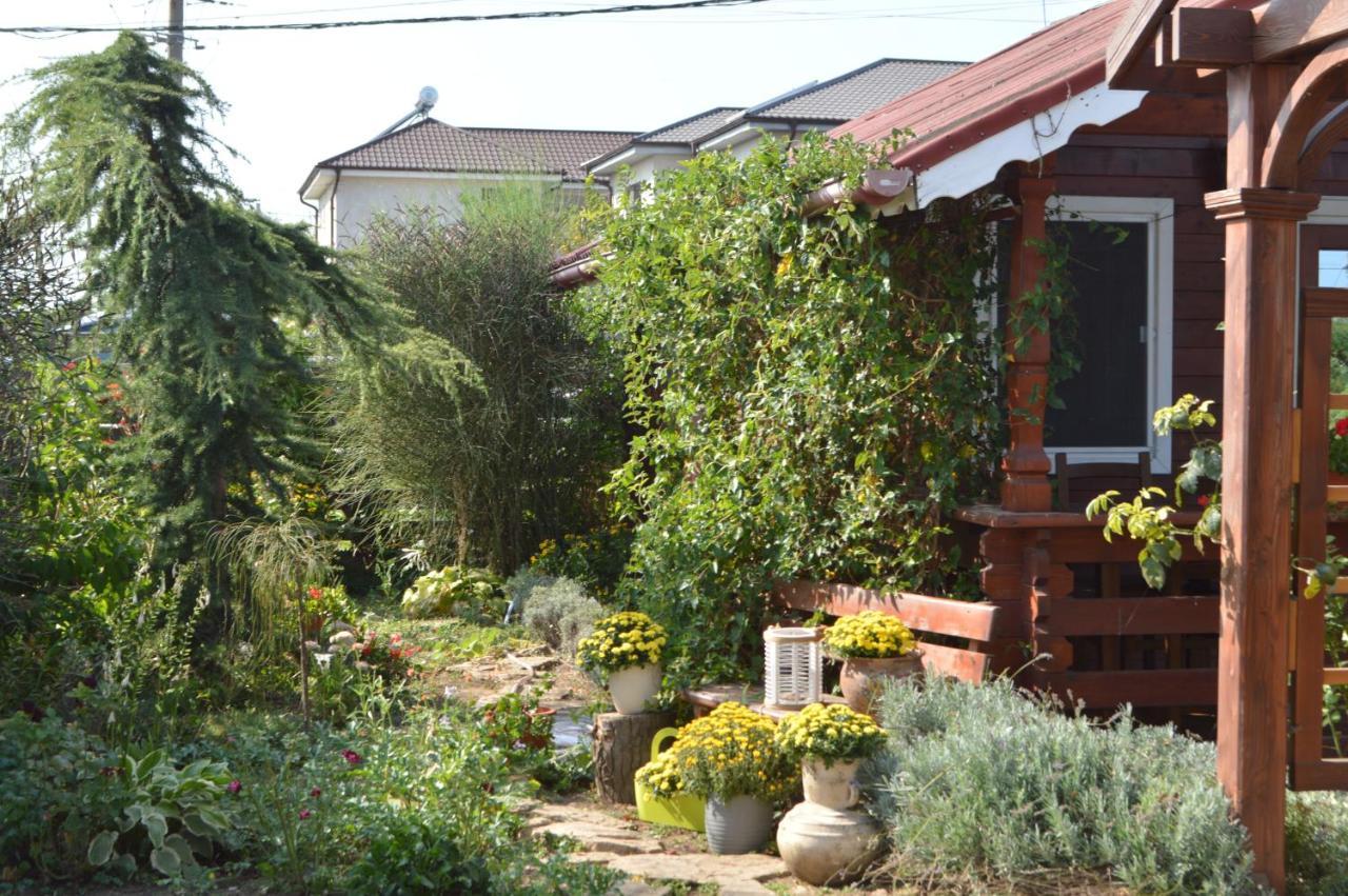 Cabane De Lemn Costineşti Exteriér fotografie