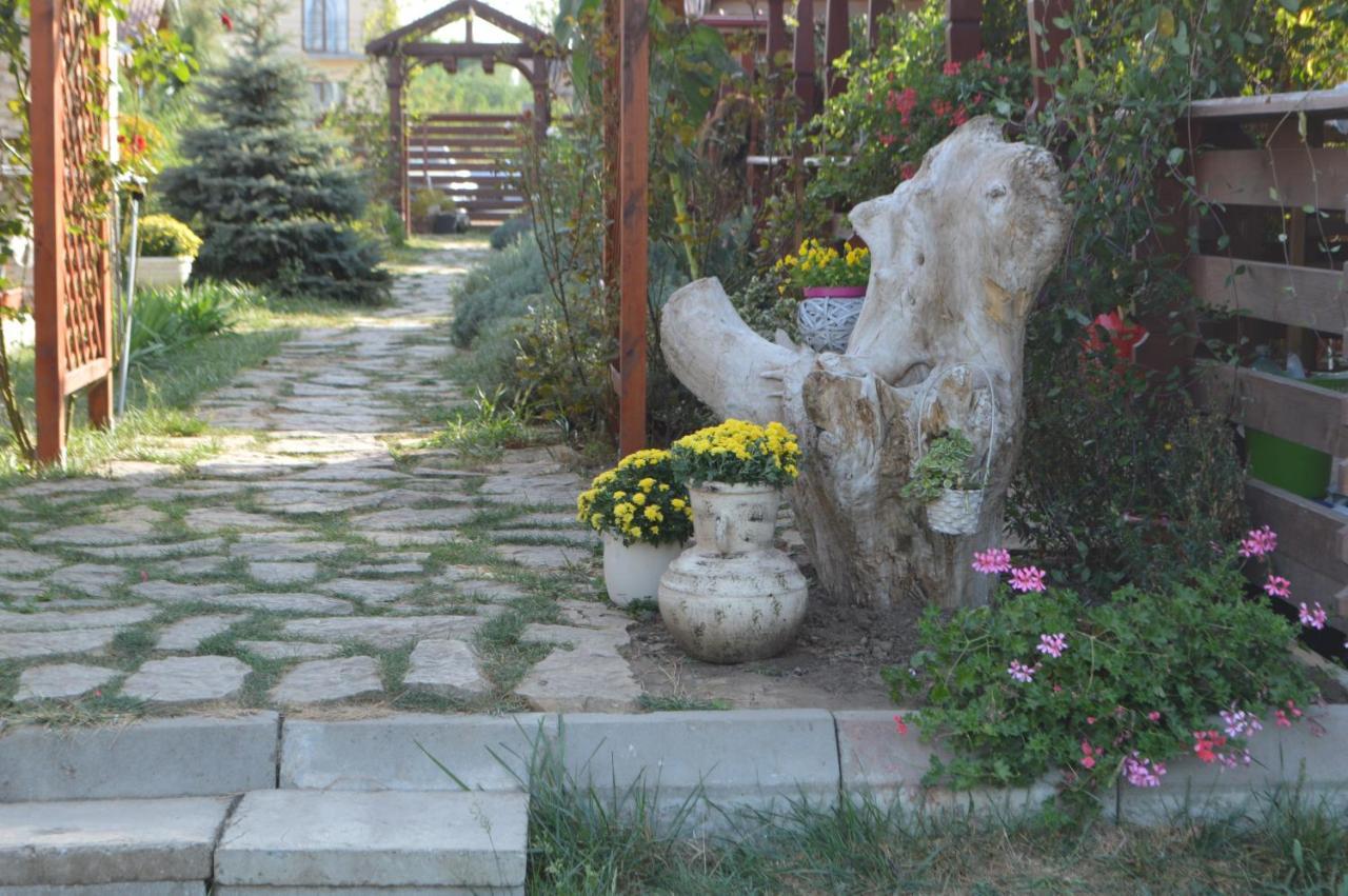 Cabane De Lemn Costineşti Exteriér fotografie