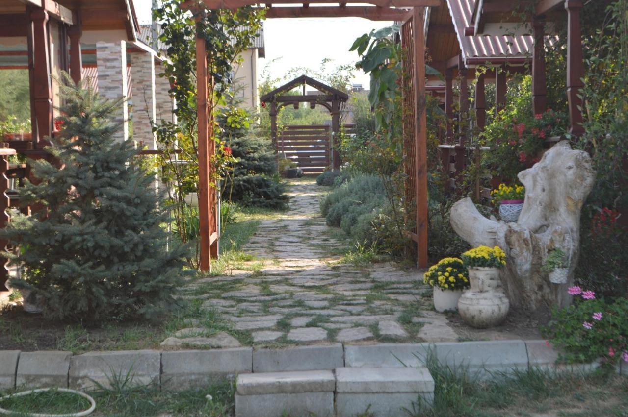 Cabane De Lemn Costineşti Exteriér fotografie