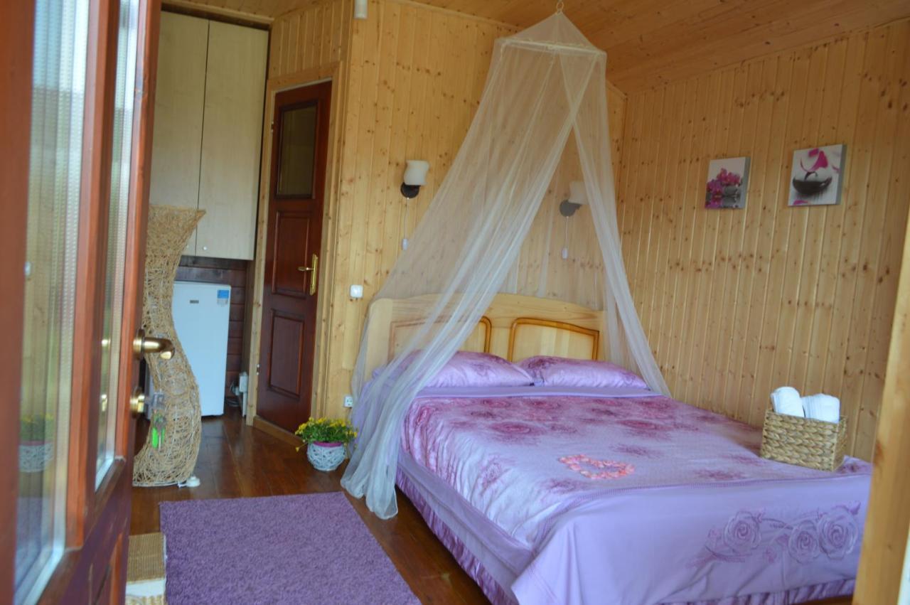 Cabane De Lemn Costineşti Exteriér fotografie