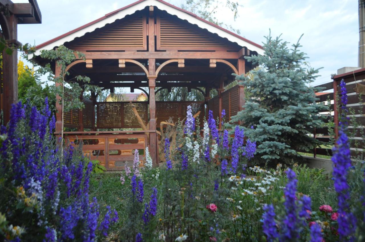 Cabane De Lemn Costineşti Exteriér fotografie
