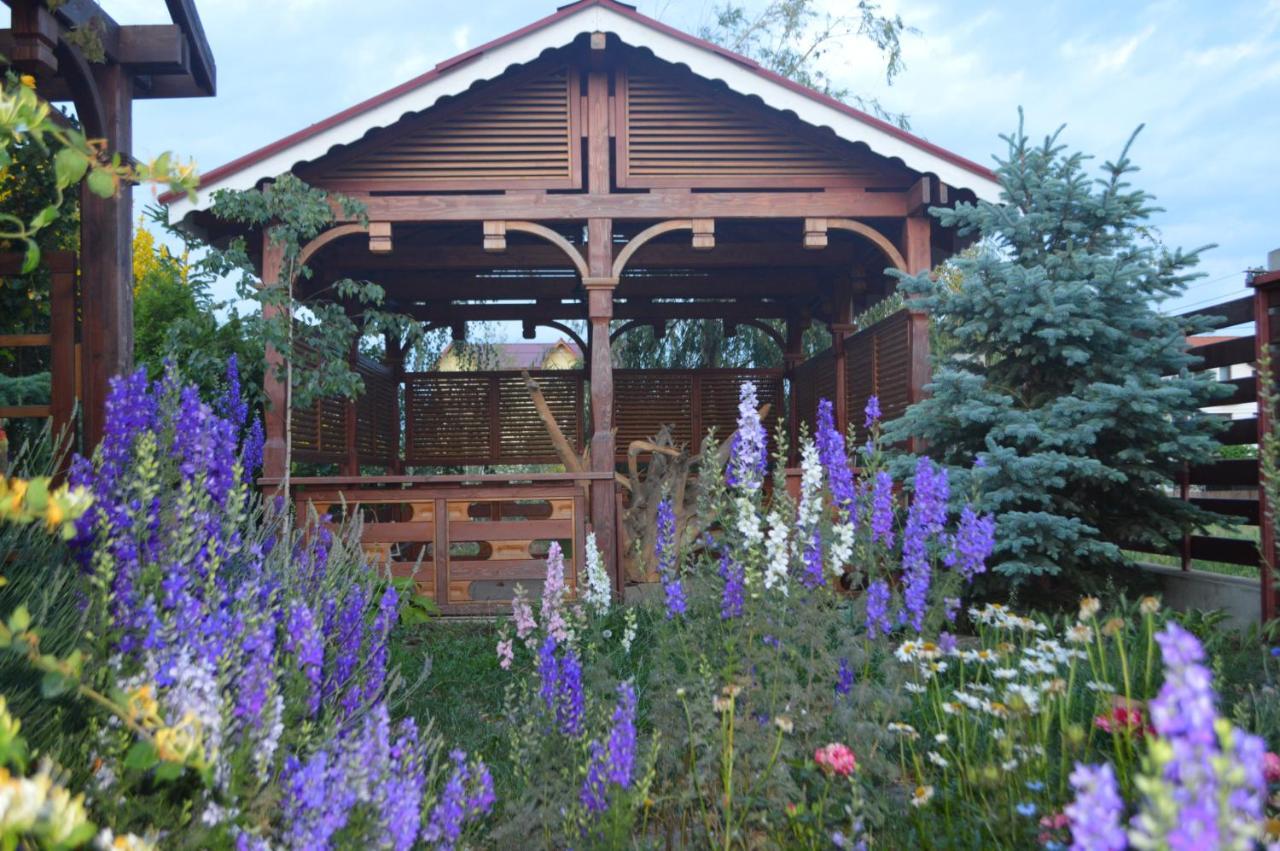 Cabane De Lemn Costineşti Exteriér fotografie