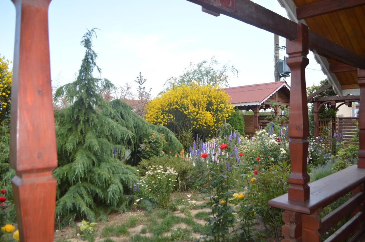 Cabane De Lemn Costineşti Exteriér fotografie