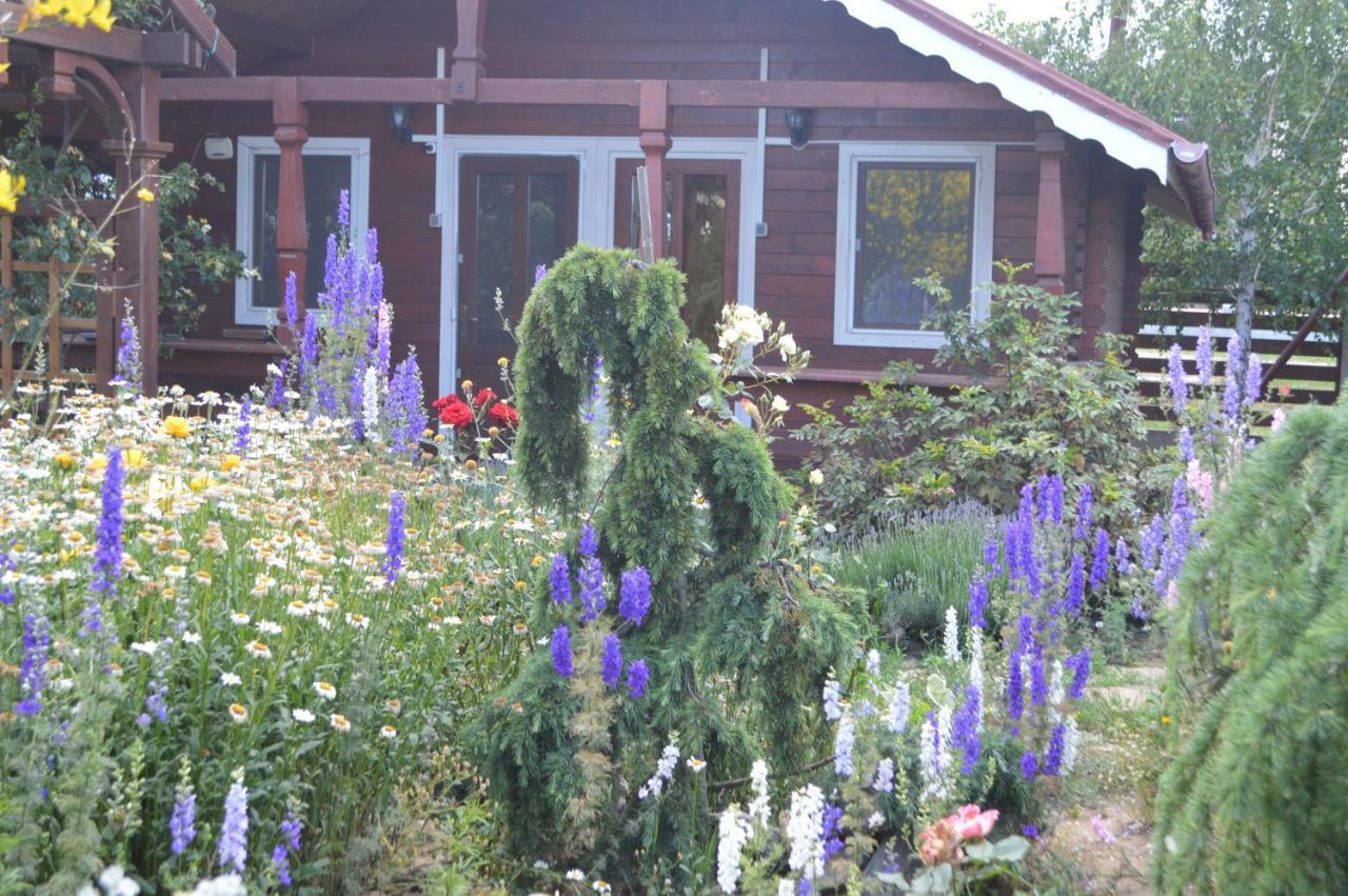 Cabane De Lemn Costineşti Exteriér fotografie